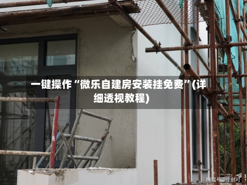 一键操作“微乐自建房安装挂免费”(详细透视教程)