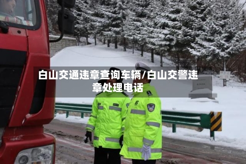 白山交通违章查询车辆/白山交警违章处理电话