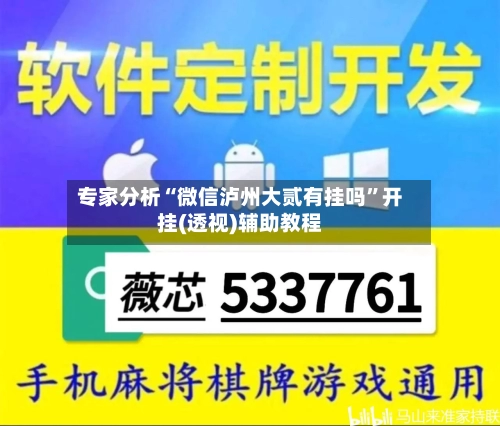 专家分析“微信泸州大贰有挂吗”开挂(透视)辅助教程