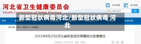新型冠状病毒河北/新型冠状病毒 河北-第2张图片