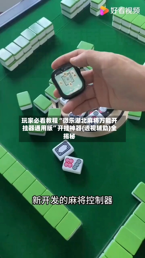 玩家必看教程“微乐湖北麻将万能开挂器通用版”开挂神器{透视辅助}全揭秘-第2张图片