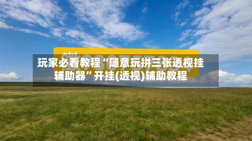 玩家必看教程“随意玩拼三张透视挂辅助器”开挂(透视)辅助教程