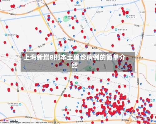 上海新增8例本土确诊病例的简单介绍