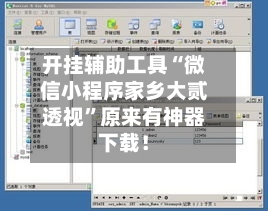 开挂辅助工具“微信小程序家乡大贰透视”原来有神器下载！-第2张图片