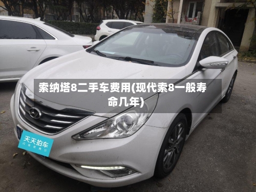 索纳塔8二手车费用(现代索8一般寿命几年)