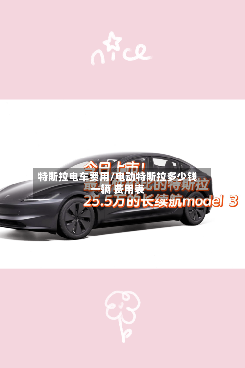 特斯拉电车费用/电动特斯拉多少钱一辆 费用表