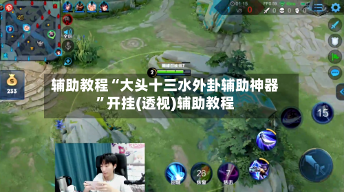 辅助教程“大头十三水外卦辅助神器”开挂(透视)辅助教程-第3张图片