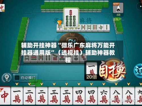 辅助开挂神器“微乐广东麻将万能开挂器通用版”（透视挂）辅助神器教程-第3张图片